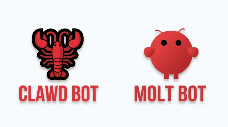 De Clawd Bot ao Molt Bot em menos de 24 horas